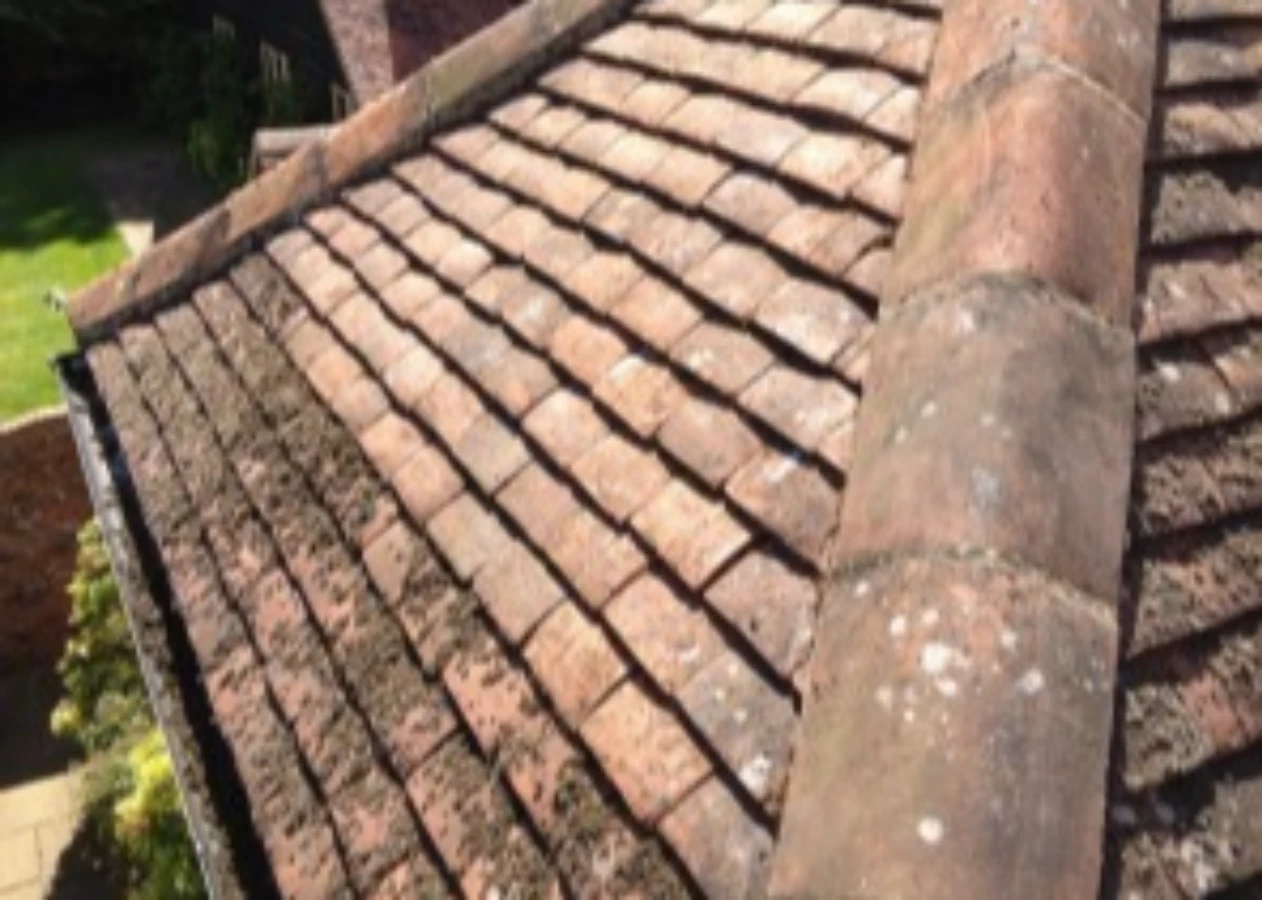 Image for Surrey Roof & Gutter Clean Biocide Treatment item -roof and gutter clean, patio cleaning services, Roof cleaning in Surrey, Moss Removal, Biocide Treatment, Surrey Roof & Gutter Clean, roof and gutter cleaning,  Pressure Washing, Gutter Cleaning,  Recurring Contracts,  Residential Services,  Commercial Services