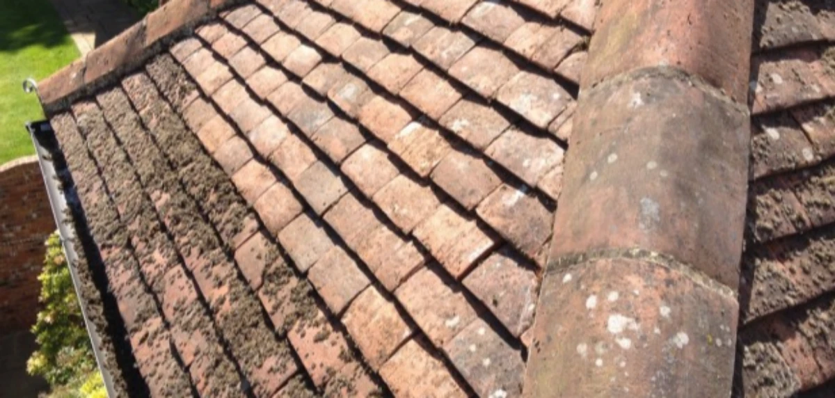 Surrey Roof & Gutter Clean News Story Image For Is your roof safe for Santa? - Gutter Cleaning, Moss Removal, Roof cleaning in Surrey, patio cleaning services, Surrey Roof & Gutter Clean,  Pressure Washing, Biocide Treatment,  Recurring Contracts, roof and gutter clean,  Residential Services,  Commercial Services, roof and gutter cleaning