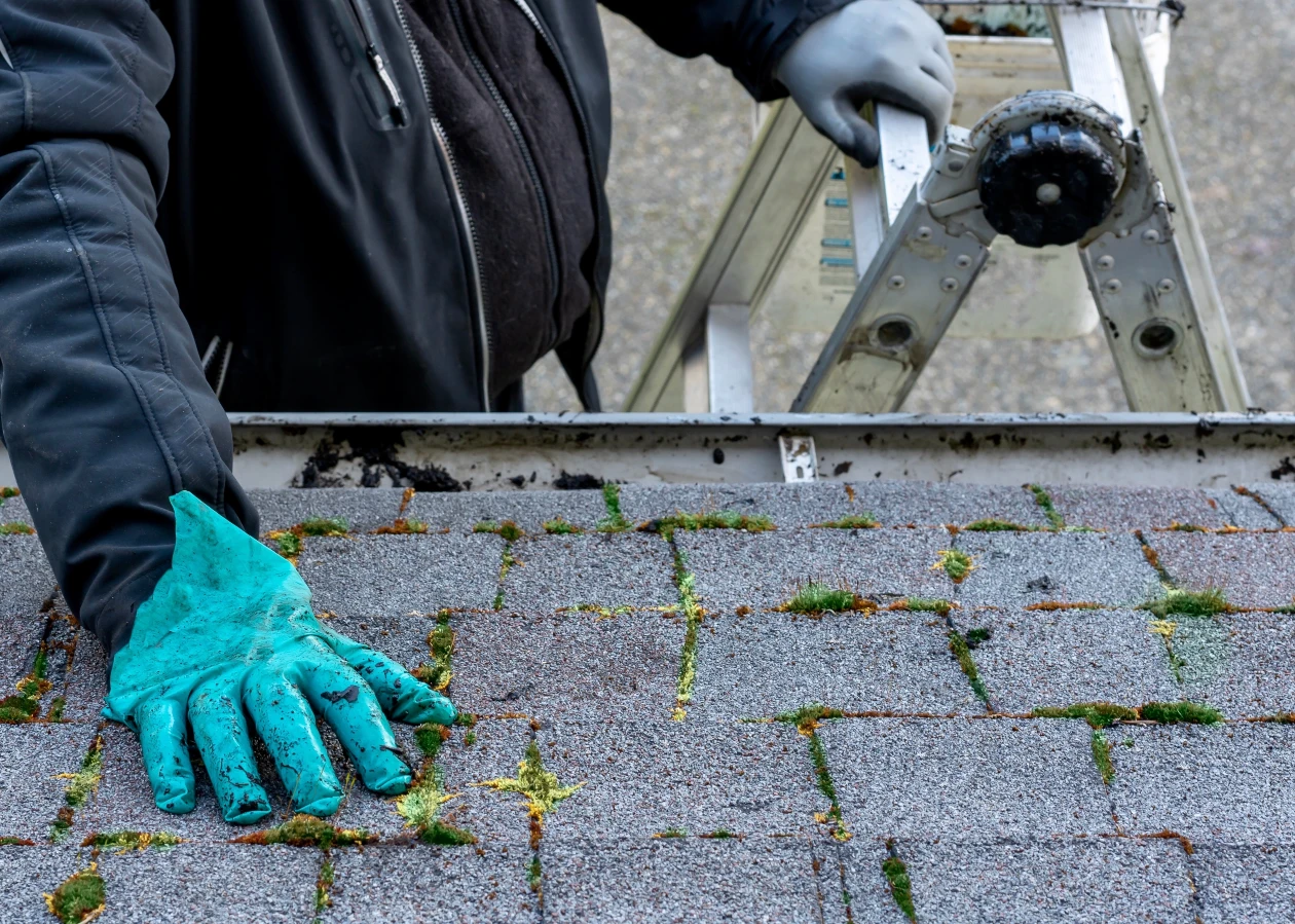 Image for Surrey Roof & Gutter Clean Moss Removal item - Commercial Services,  Recurring Contracts, Gutter Cleaning, Biocide Treatment, Moss Removal, Roof cleaning in Surrey, roof and gutter clean, roof and gutter cleaning, Surrey Roof & Gutter Clean,  Residential Services, patio cleaning services,  Pressure Washing
