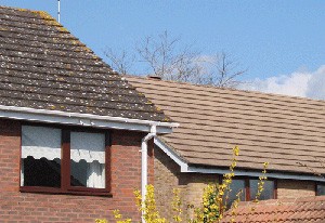 Roof cleaners Surrey