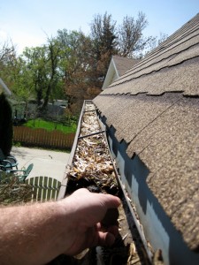 roof cleaning companies Surrey
