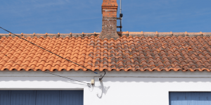 Roof cleaning Camberley