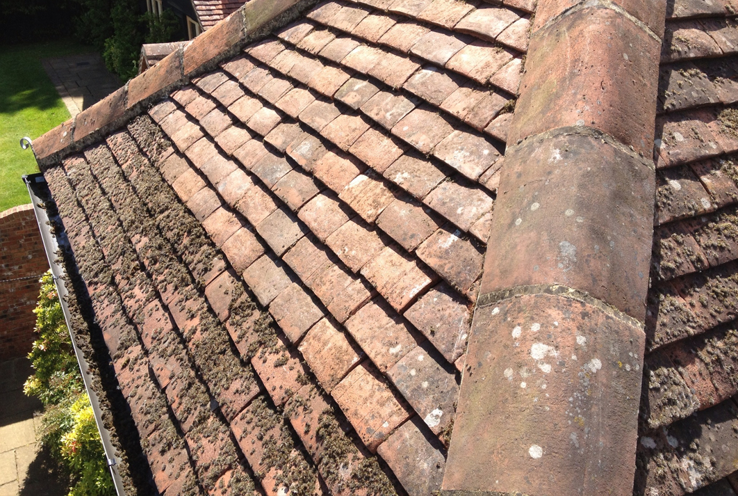 Roof cleaning Guildford